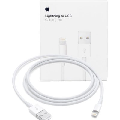Apple Lightning to USB Cable – 1M